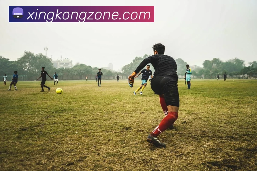 星空体育服务体系